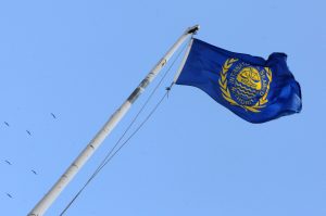 Module 1 <b>–</b> <br> UNCLOS and governance of the Area