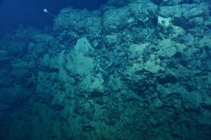 ADSEA Training Course